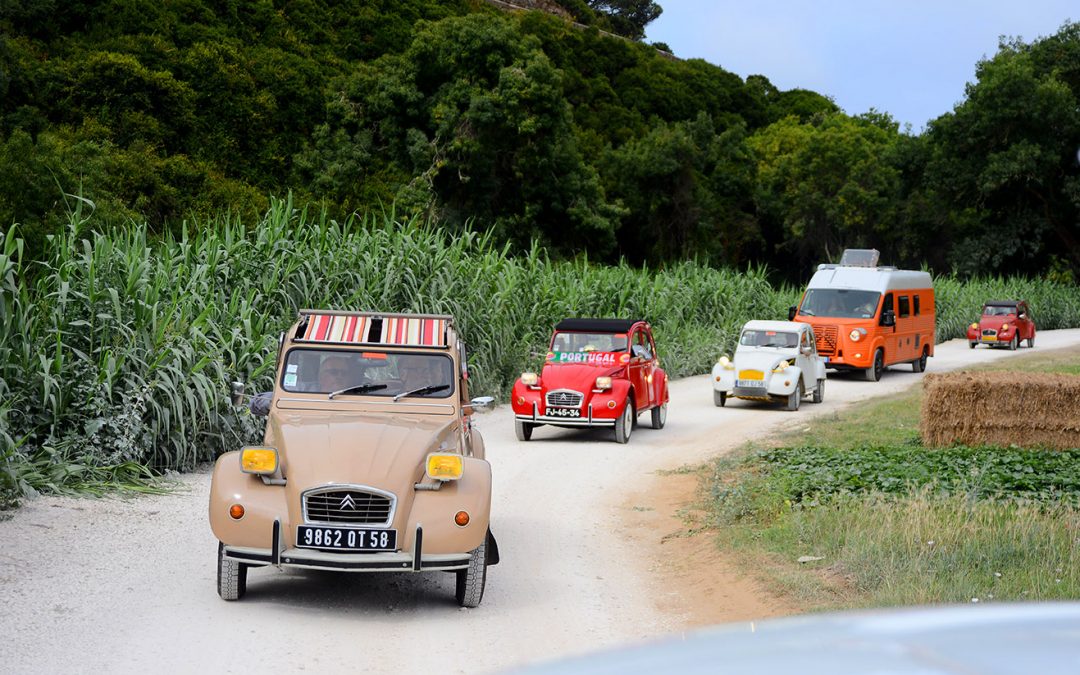 The 2CV World Meeting: Bringing Friends Of The 2CV Together!